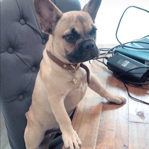 Meet your Posher, Aida - Picture 1 of 1